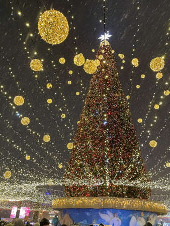 main New Year tree of Kiev on the central squareの写真素材