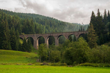 bridgeのeditorial素材