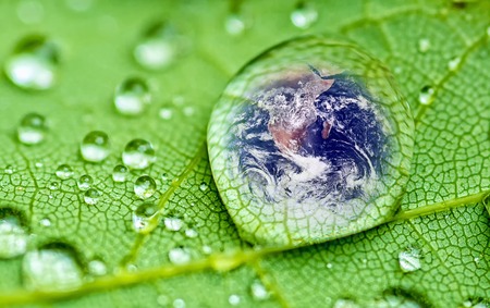 planet earth inside a raindrop closeup on a green leaf (Elements of this image furnished by NASA ) planet earth inside a raindrop closeup on a green leaf (Elements of this image furnished by NASA )