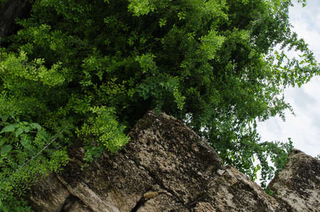 wall of large broken stones dusty and rusty, wall on the sidewalk that at the bottom has green...