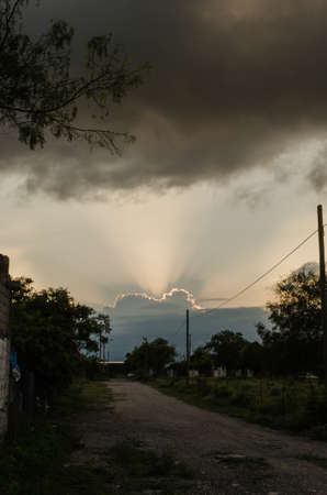 dirt road surrounded by green leaves and beautiful nature, background of a cloudy blue sky, road of happiness conceptの写真素材