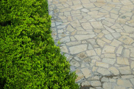 texture of green leaves on left side and beautiful texture of large gray rocks on right side, division of wildlife with urban life conceptの写真素材