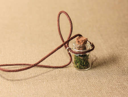Pendant with a plant in a jarの写真素材