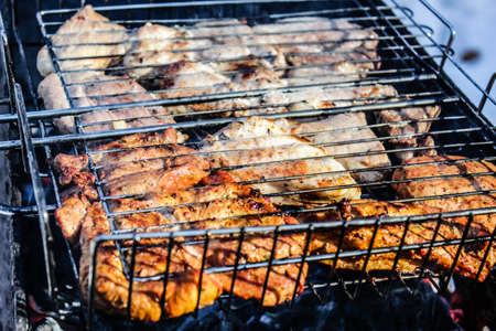 Pieces of meat roasted on a grill, a picnic in the open airの写真素材