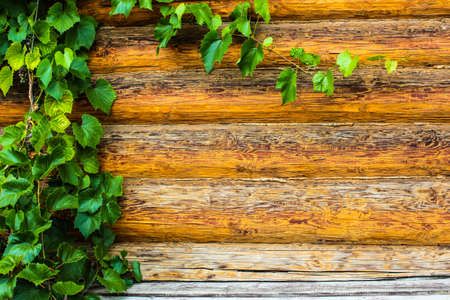 Wooden building wall, Russian hutの写真素材