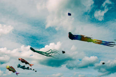 Kites of bright color fly in the sky, a festival in the parkの写真素材