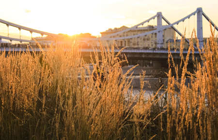 Evening autumn landscape in the cityの写真素材