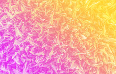 background with grass, natural backgroundの写真素材