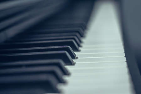 piano keys, focus on 1 object, musical instrumentの写真素材