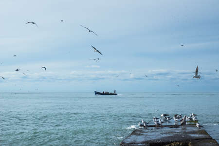 summer landscape with birdsの写真素材