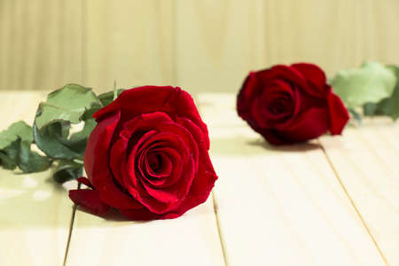 Two red roses flowers on wood backgroundの写真素材