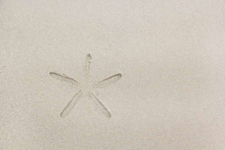 starfish print on sand backgroundの写真素材