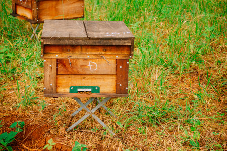Wooden box for beekeeping in the garden. Selective focus.の写真素材