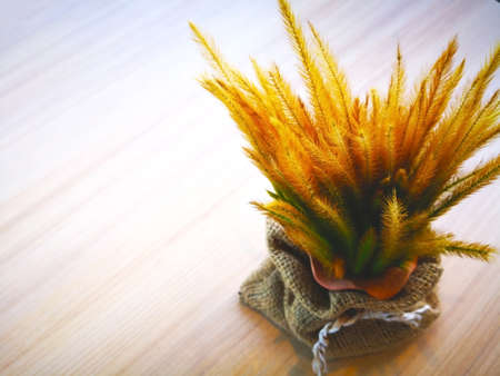 Love concept. Hay flowers are in pots, which are wrapped in brown sack. Located on a wooden table. Isolated on wooden background, selective focus and copy space.の写真素材