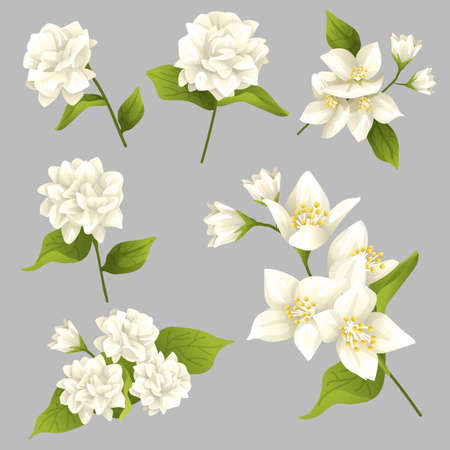 Happy Thai Mother's day Elements : Vector Illustrationのイラスト素材