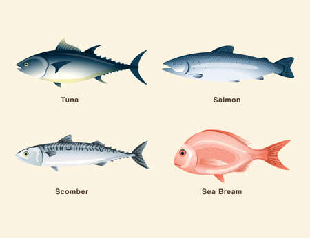 and sushi set .Vector Illustrationのイラスト素材