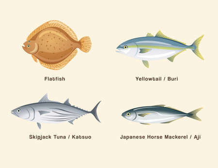 and sushi set . Vector Illustrationのイラスト素材
