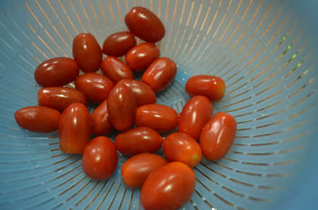Many tomato in the basketの素材