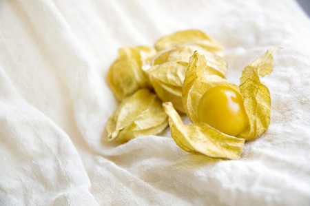 fresh gooseberry on white smooth fabricの写真素材