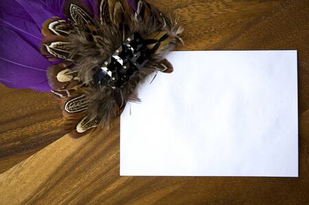 blank white space for text decorated with purple feathersの写真素材