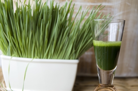 close up wheatgrass juice in shot with wheatgrass backgroundの写真素材