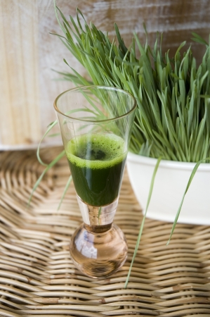 glass of wheatgrass juice with fresh wheatgrassの写真素材