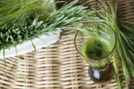 close up top view of wheatgrass drink with wheatgrass backgroundの写真素材
