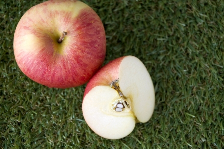 close up top of fresh apple on grassの写真素材