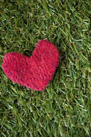 red heart on green grass の写真素材