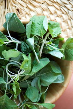 fresh spinach in wooden bowl
