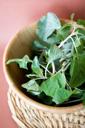 fresh spinach with pink backgroundの写真素材