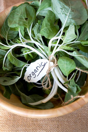 spinach with organic tag in wooden bowlの写真素材