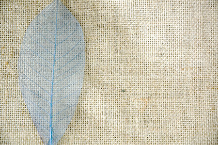 blue skeleton leaf on sackcloth backgroundの写真素材