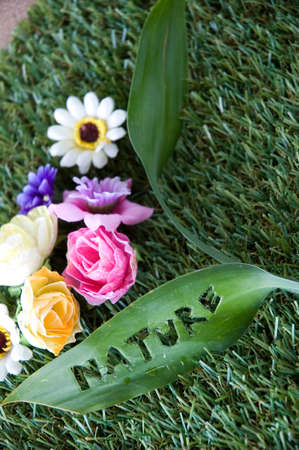 nature wording on leaf with flowersの写真素材