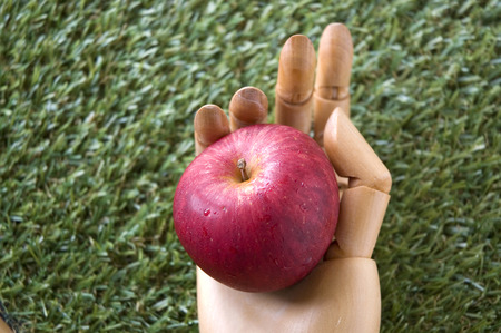 close up of a red apple in wooden handの写真素材