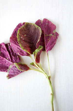 fresh red spinach on wooden backgroundの写真素材