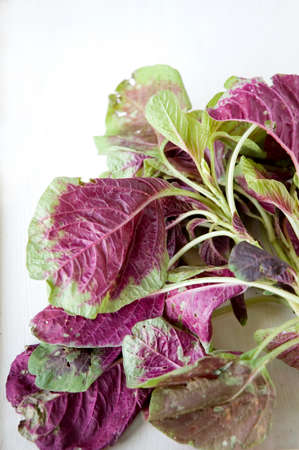 close up organic red spinachの写真素材