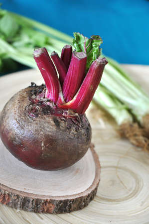 Fresh beetroot on wooden board with green vegetable on background