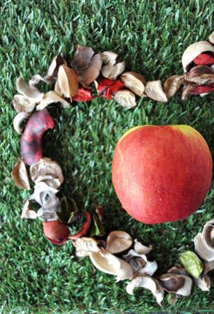Above of fresh apple with dried plants in heart shape on green grass backgroundの写真素材