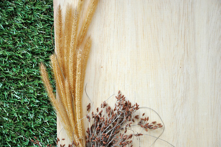 Dried flowers on blank wooden board with green grass backgroundの写真素材