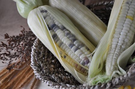 Close up white and purple corn in basketの写真素材