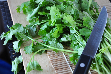 Knife put on fresh Corianderの写真素材