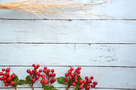 Artificial ribes and dried stick with space for text on blue wooden background