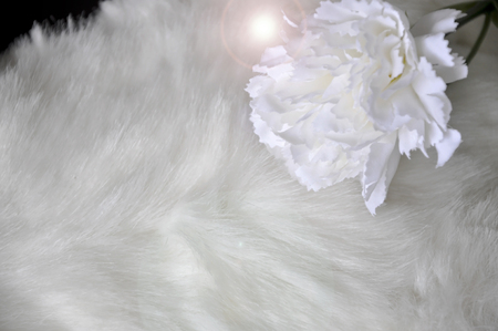 Artificial carnation flower with lighting on white wool texture backgroundの写真素材