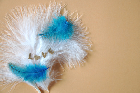 The words Love on white and blue feathers on pastel background with copy spaceの写真素材