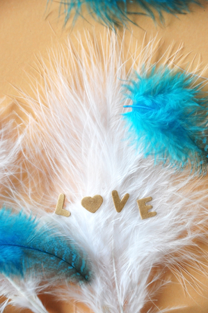 Wording Love on smooth white feathers backgroundの写真素材