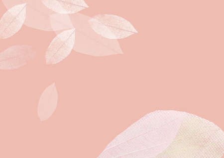 Abstract white transparency leaves floating on pink background with copy spaceの写真素材