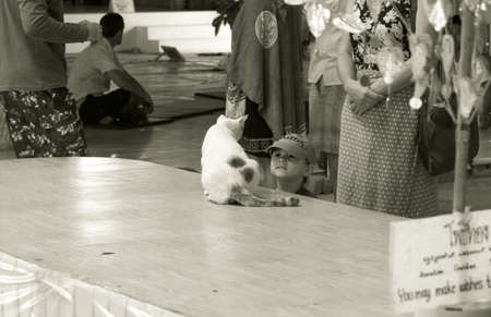 PHUKET, THAILAND FEBRUARY 15 2013: A boy plays with a cat at Buddha Park, the location of Phuket's iconic symbol of Buddhism, the Big Buddha Monument.のeditorial素材