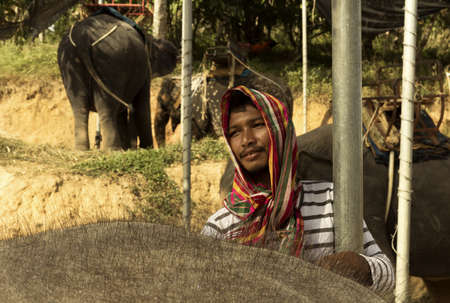 PHUKET, THAILAND FEBRUARY 15 2013: Three elephants at a roadside elephant show outside of the Big Buddha Park in Chalong get tended to by their handler.のeditorial素材