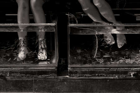 BEACH ROAD, PATONG, PHUKET, THAILAND APRIL 30 2013: Two tourists enjoy a fish pedicure and massage at a spa along Patong Beach in Phuket.のeditorial素材